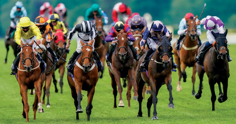 Top Strategies for Successful Horse Race Betting